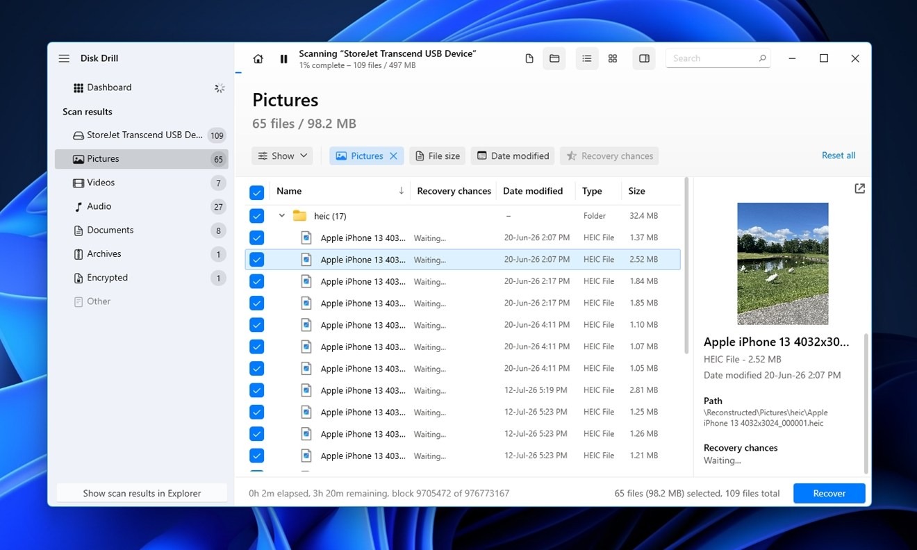 Preview pane to quickly identify files during the scan